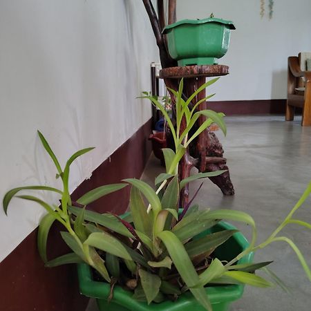 Gayatri Homestay Dibrugarh Eksteriør bilde
